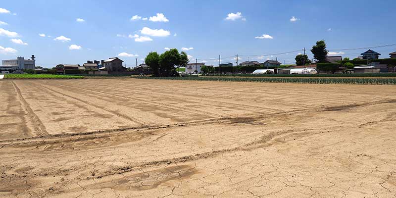 After planning our team provides a solid base for your property through thorough site preparation